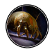 dust mites image