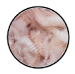 textile fibers image